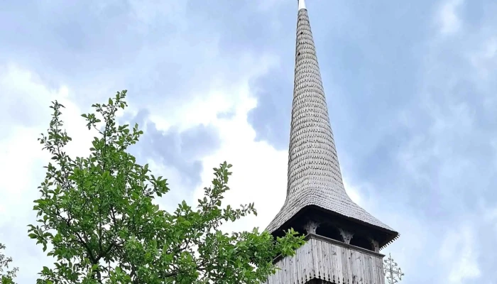 Biserica Intrarea Maicii Domnului In Biserica Din Barsana Zonă - Bârsana
