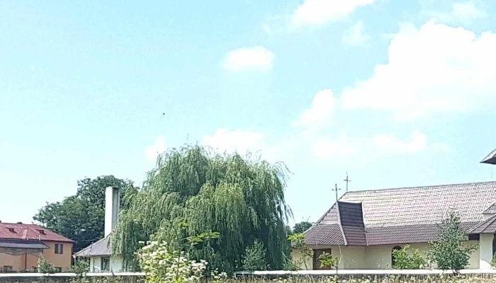 Biserica Ortodoxa -  Număr - Mitocu Dragomirnei