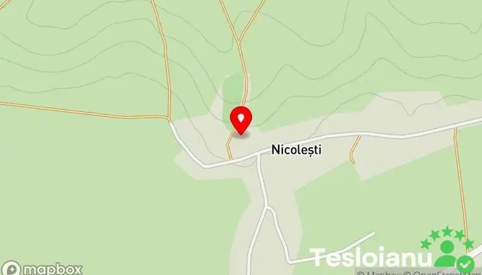 hartă a Biserica Reformată Nicolești Biserică reformată în Crăciunești
