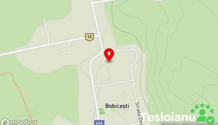 hartă a Bobiceşti  în Bobiceşti