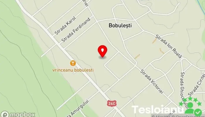 hartă a Bobulești  în Bobulești