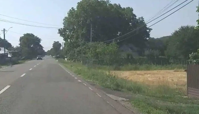 Bodesti Videoclipuri - Bodești