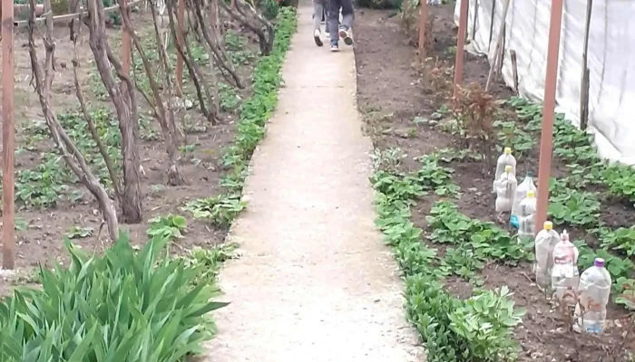 Bogdanesti Unde - Bogdănești