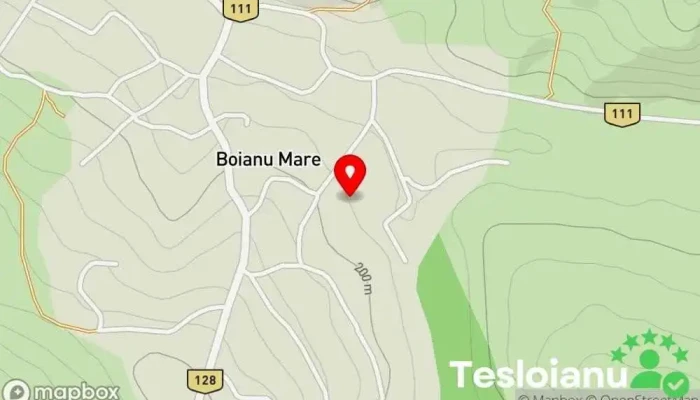 Boianu Mare - Boianu Mare