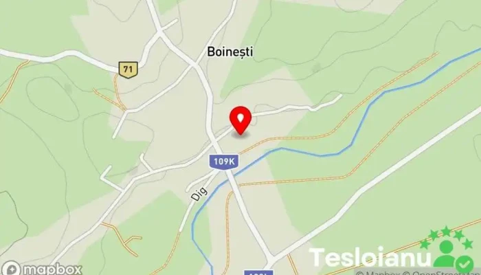 hartă a Boineşti  în Boineşti