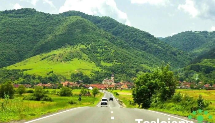 Boiţa - Boiţa