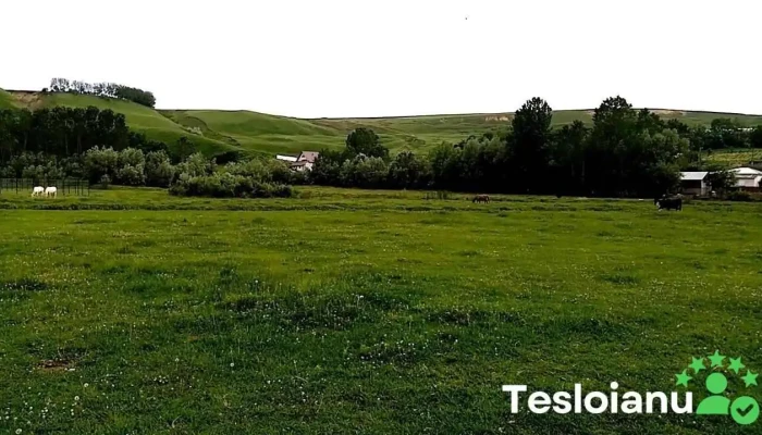 Boldesti Scaeni Videoclipuri - Boldești-Scăeni