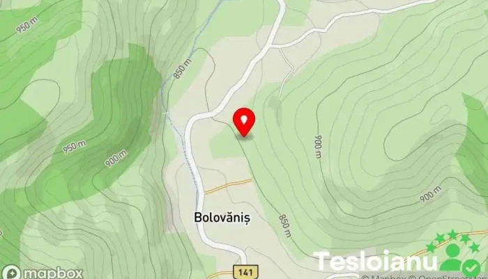 hartă a Bolovăniș  în Bolovăniș