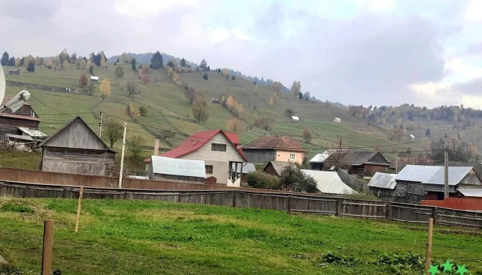 Bolovanis Munte - Bolovăniș