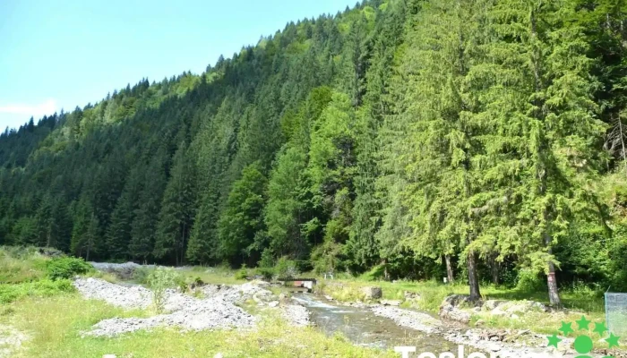 Borca -  Munte - Borca
