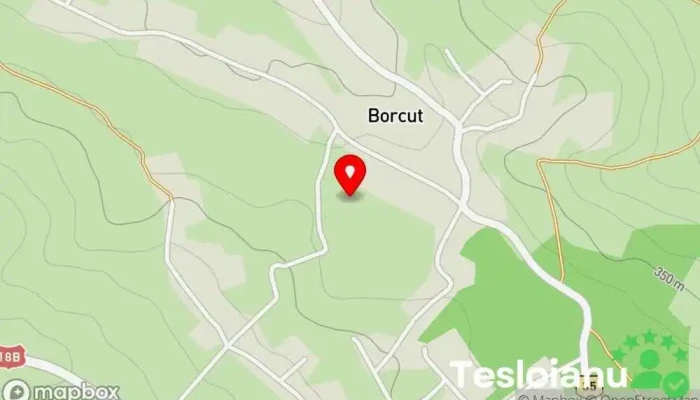 hartă a Borcut  în Borcut