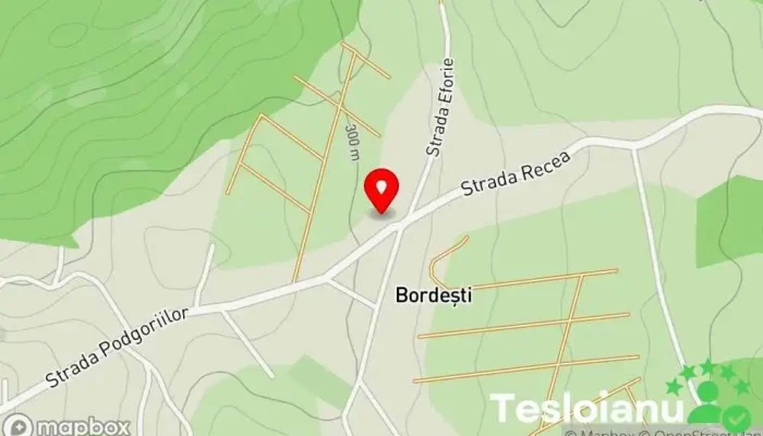 hartă a Bordești  în Bordești