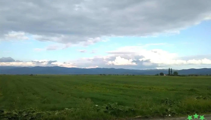 Borosneu Mare Catalog - Boroșneu Mare