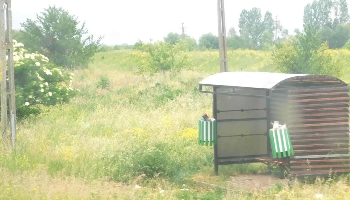 Borosneu Mare H Boroșneu Mare - Boroșneu Mare