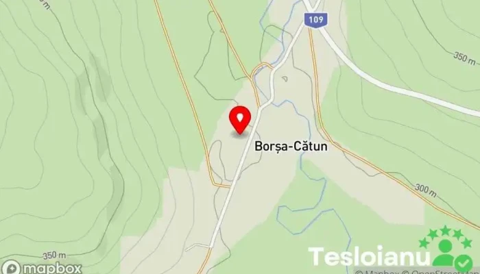 hartă a Borşa-Cătun  în Borşa-Cătun