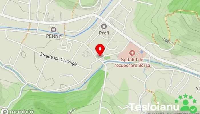 hartă a Borșa  în Borșa