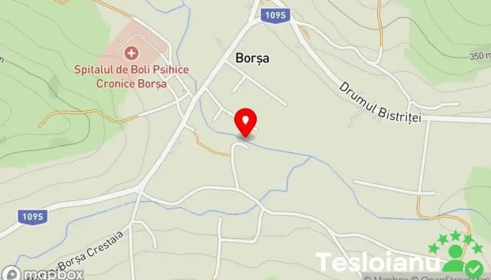 hartă a Borșa  în Borșa