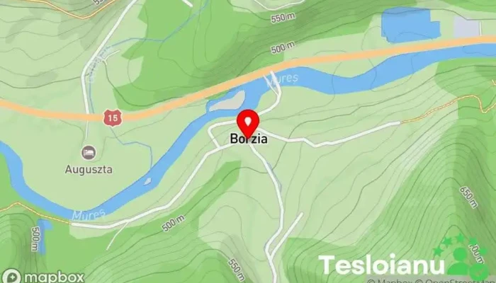 hartă a Borzia  în Borzia