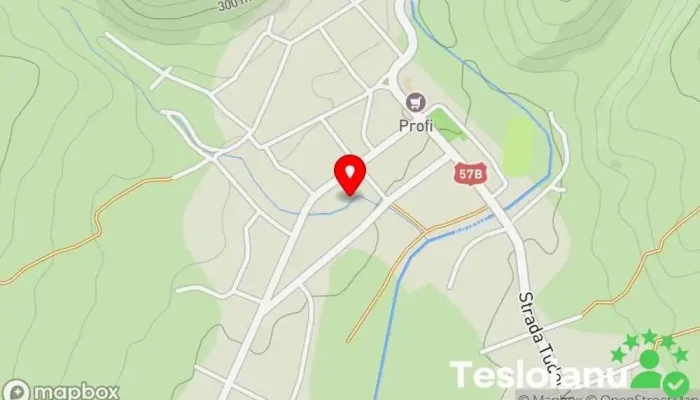 hartă a Bozovici  în Bozovici