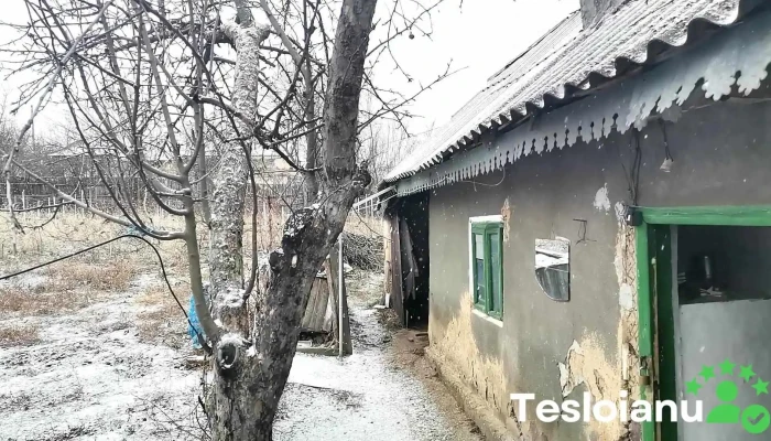 Brahasesti Videoclipuri - Brăhășești