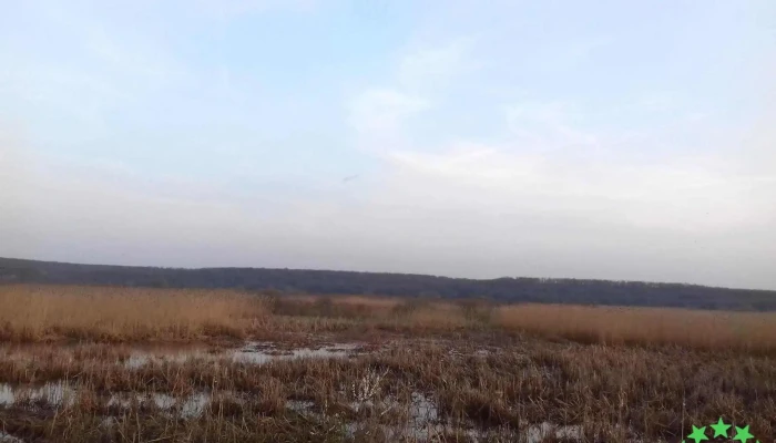 Branistari Recenzii - Brăniștari