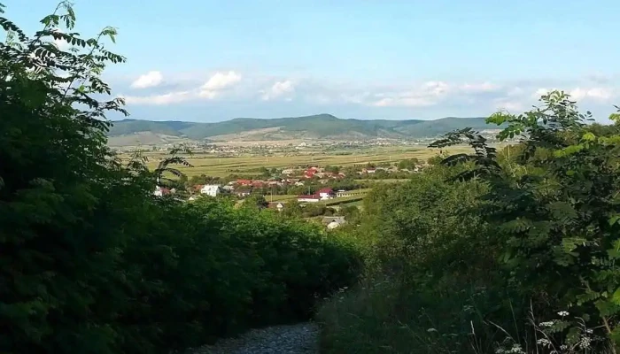 Branistea Cum Să Ajungi Acolo - Braniştea