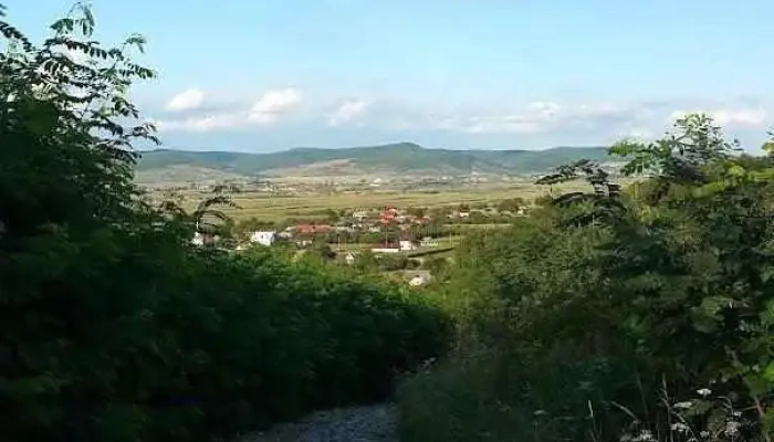 Braniştea - Braniştea