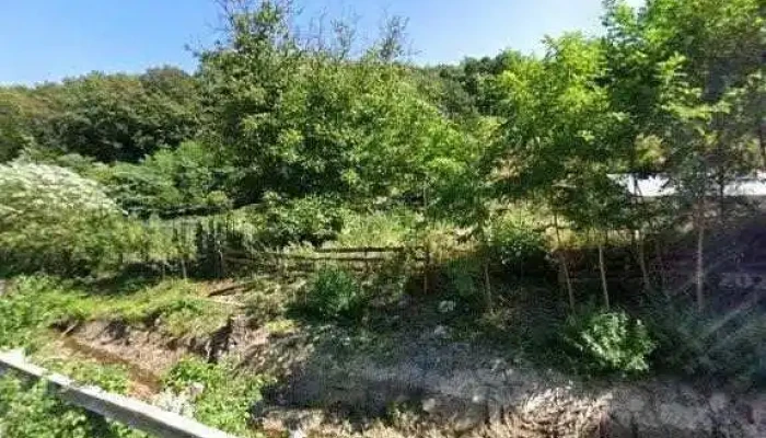 Branzeturi Stanus Scor - Pianu De Sus