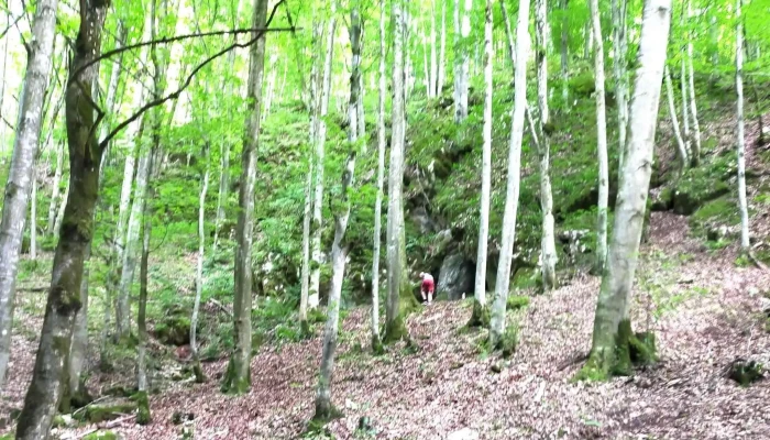 Bratca -  Adresă - Bratca