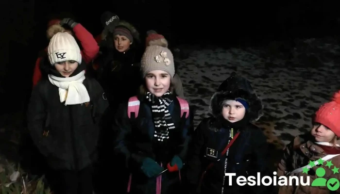 Brebu Megiesesc Videoclipuri - Brebu Megieșesc