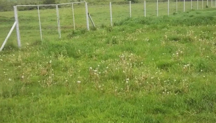 Brestovat Adresă - Brestovăț