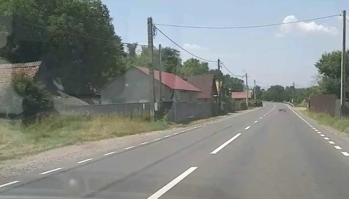 Bretcu Videoclipuri - Brețcu