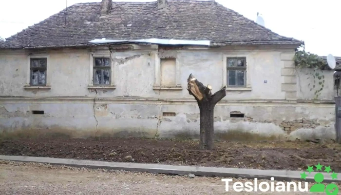 Bruiu -  Telefon - Bruiu