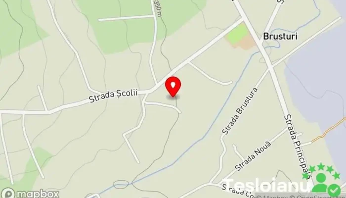 hartă a Brusturi  în Brusturi