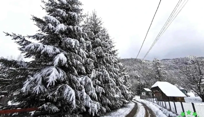 Brăduleț - Brăduleț