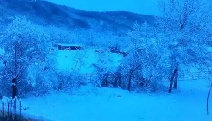 Brănești - Brănești