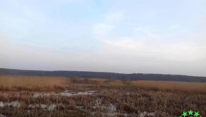 Brăniștari - Brăniștari
