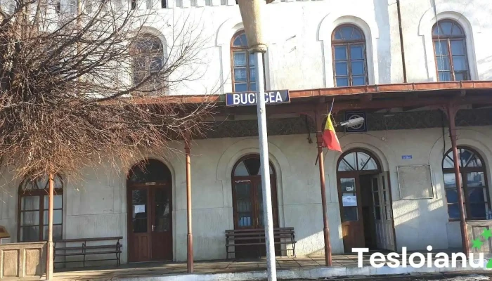 Bucecea - Bucecea
