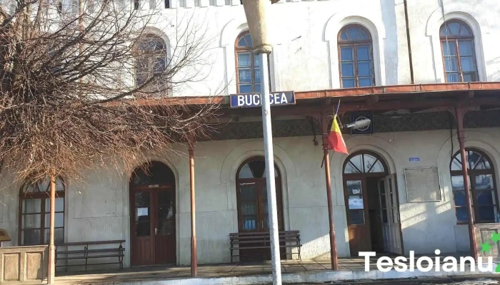 Bucecea -  Cum Să Ajungi Acolo - Bucecea