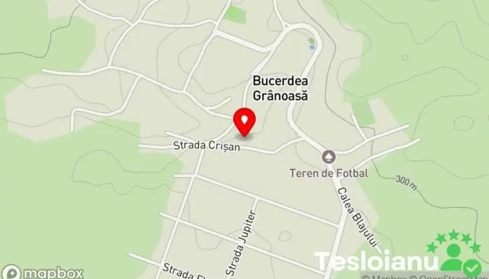 Bucerdea Grânoasă - Bucerdea Grânoasă