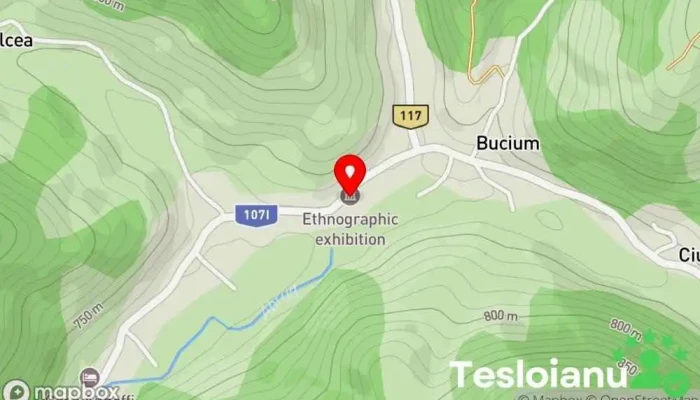 hartă a Bucium  în Bucium