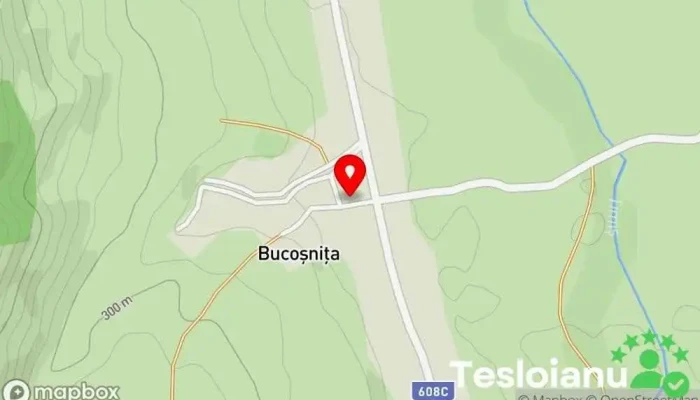 hartă a Bucoșnița  în Bucoșnița