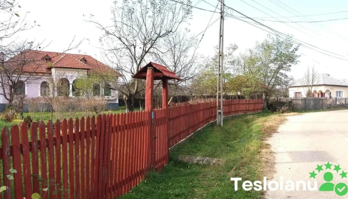 Bucsenesti Lotasi Recenzii - Bucșenești-lotași