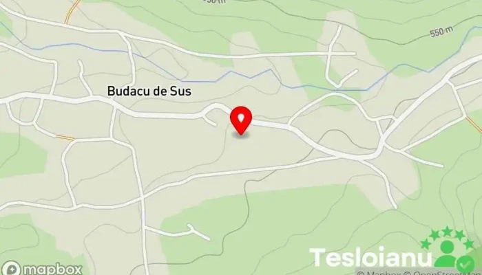 hartă a Budacu de Sus  în Budacu de Sus