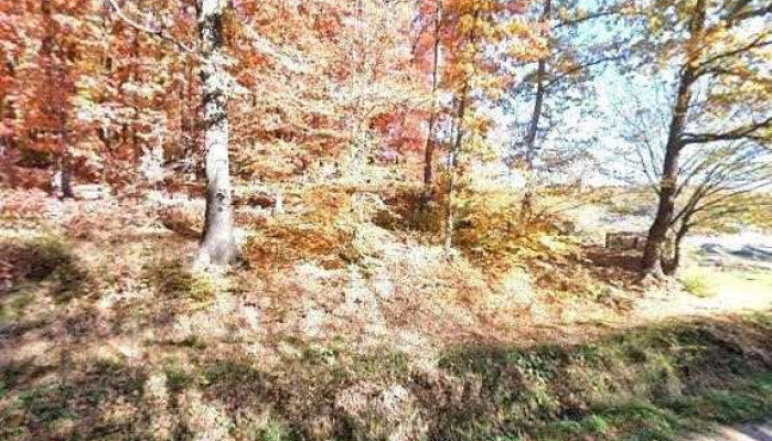 Budeasa -  Street View Si 360deg - Budeasa Mică
