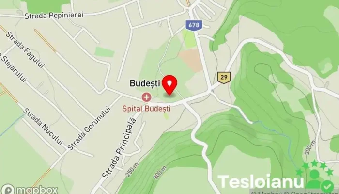 hartă a Budești  în Budești
