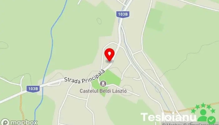 hartă a Budila  în Budila