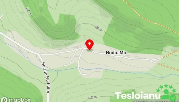 hartă a Budiu Mic  în Budiu Mic