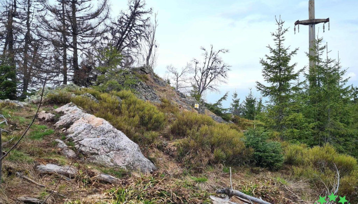 Budureasa -  Deschis Acum - Budureasa