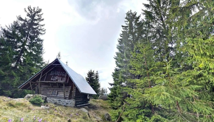 Budureasa -  Street View Si 360deg - Budureasa